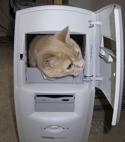chat pc