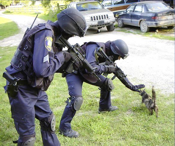 chat policiers