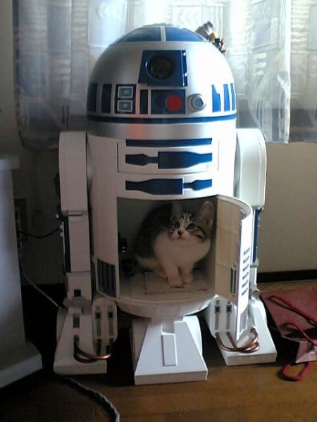 chat r2d2