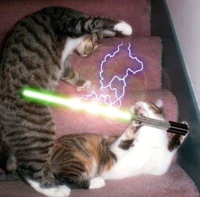 Chats Sith