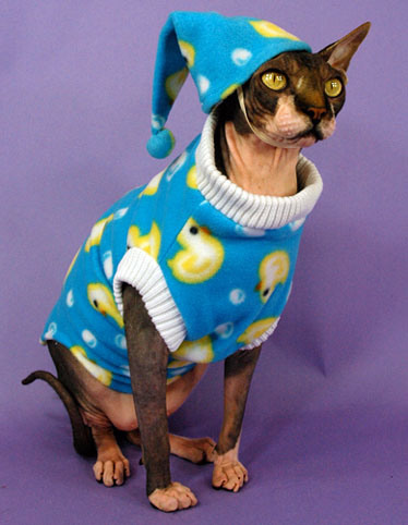 Un joli pyjama de chat