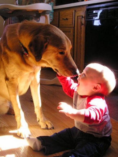 chien et enfant