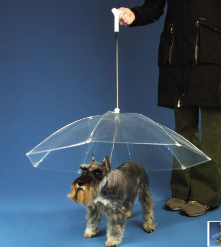 Parapluie chien