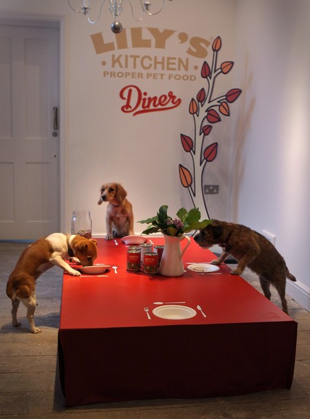 La salle à manger pour chiens