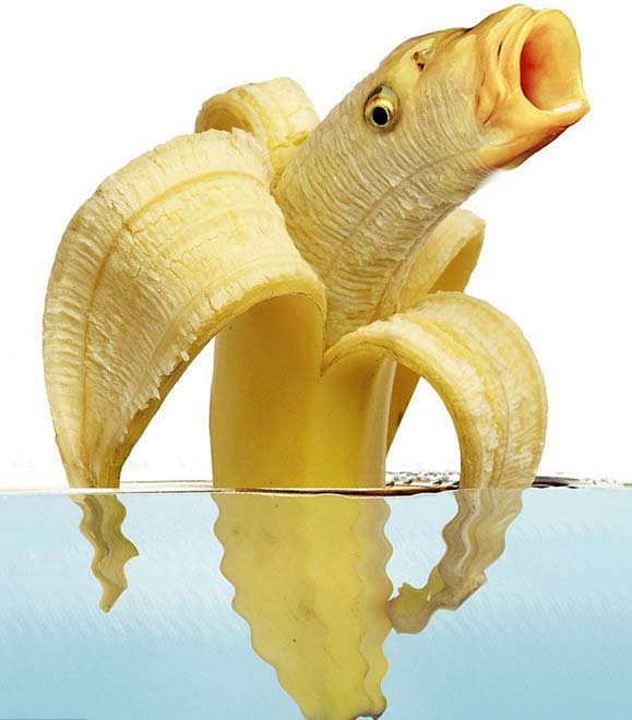 Poisson banane