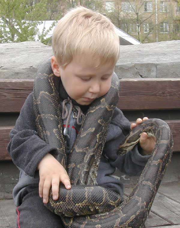 enfant avec serpent