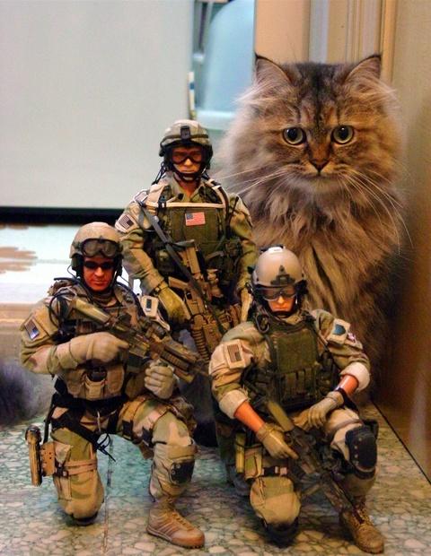 http://www.villiard.com/images/etats-unis/arme-secrete/arme-secrete.jpg