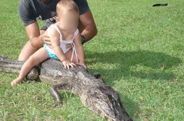 enfant crocodile