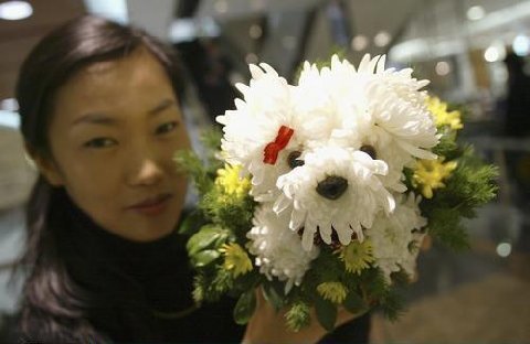 fleurs-fete-meres.jpg