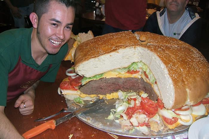 http://www.villiard.com/images/hamburger/gros-hamburger.jpg