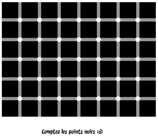 http://www.villiard.com/images/illusion_optique/illution-noirs-blancs.jpg