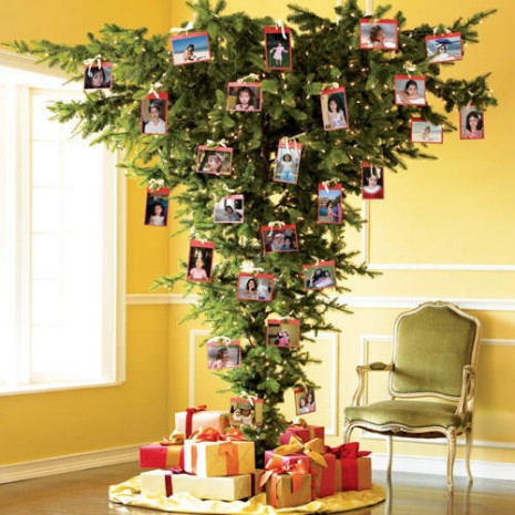 drole-sapin-noel.jpg