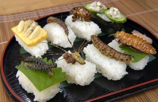 insectes sushis