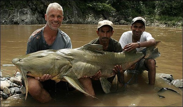 Poisson mutant