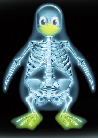 Le pingouin de Linux