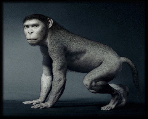 homme-singe